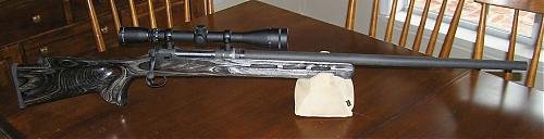 complete rifle.jpg