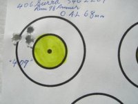 more targets 009.JPG