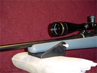 Possum Hollow forend-stabilizer.jpg